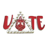 DELTA VOTE PIN