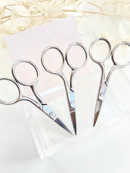 Image of Silver Planner Scissors