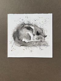 Image 2 of Sleepy - Kitty Cat Study