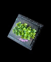 Image 4 of Pyramid planter