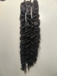 Image 1 of Raw Burmese Curly 