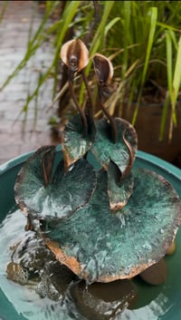 Image 1 of Arum