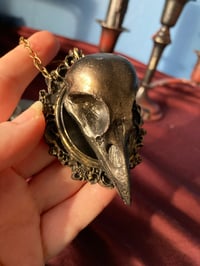 Image 4 of Resin Bird Skull Frames