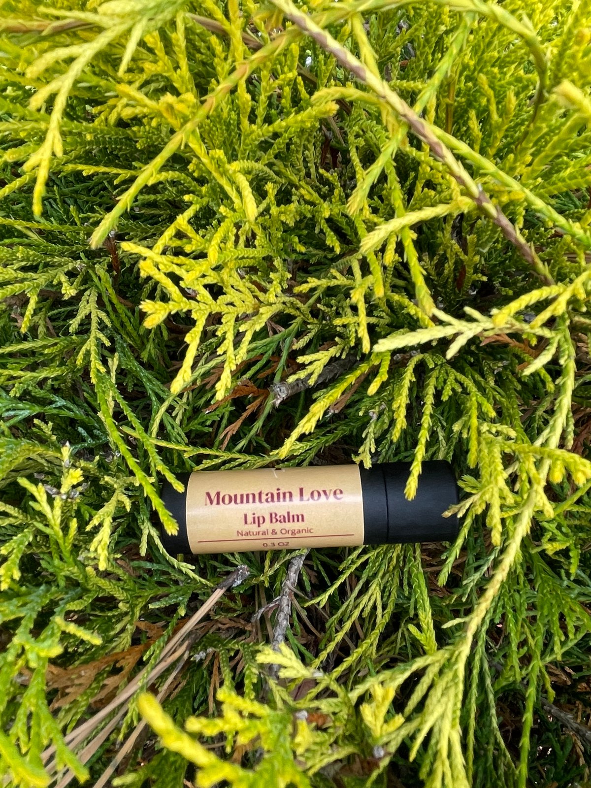 Image of Mountain Love - Eucalyptus & Rosemary Lip Balm