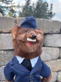Image 2 of Air Line Pilot?