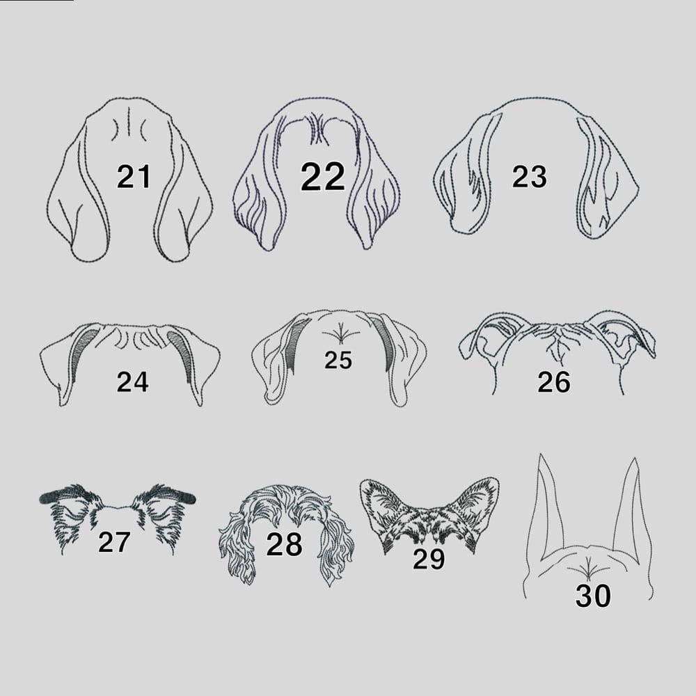 Image of Custom pet crewneck