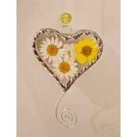 Image 4 of Real flower Heart - various colours