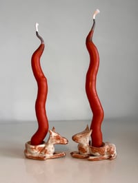 Image 1 of DOG HOLDERS