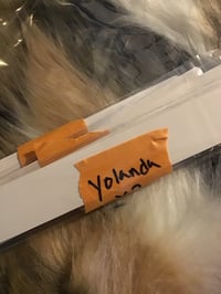 Yolanda FB live