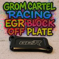 Image 1 of Cbr300/250 EGR plate GC-R 