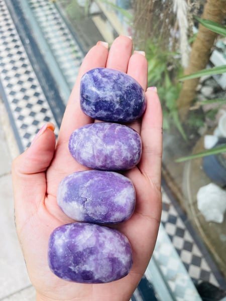 Image of Lepidolite palm meditation stone 