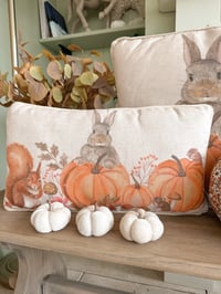 Image 2 of SALE! Woodland Pumpkin Cushions ( Set or Singles )