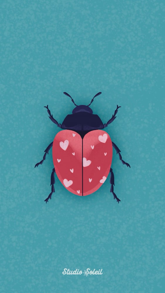 Image of Ladybug 4x6 Print