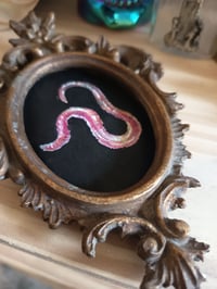 Image 1 of Ver de terre