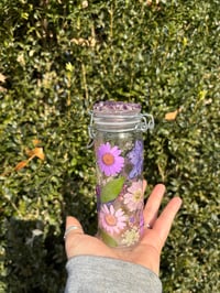 Image 3 of Andromeda