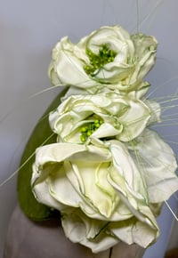 Image 5 of Green percher 
