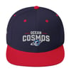 Cosmos - Snapback Hat