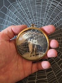 Image 2 of “Paradise lost & Regained  " 1800's engraving  with preserved spider web - 3