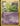 Treecko (Delta Species) - Crystal Guardians - Heavily Played