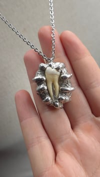 Image 5 of Human tooth organic soldered necklace
