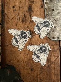 ✨WIEDER DA✨Hummel-Klebetattoos 3er Pack