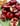 POMEGRANATE CANDLE