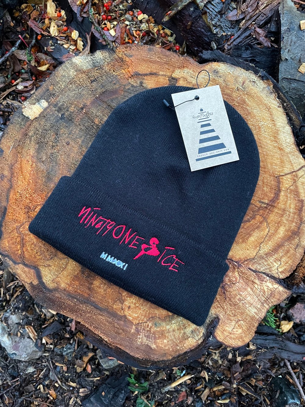 Image of Beanie Hat