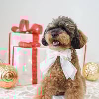 CHRISTMAS SPARKLE BOW - SNOW