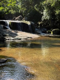 Image 4 of Paréo Baleine Céleste 