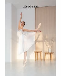 Image 7 of Chiffon Rehearsal Circle Skirt 2