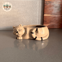 Cat Planter Pot