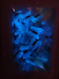 Image 5 of luminous butterfly nail charms