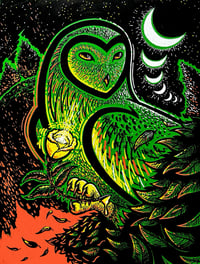 Image 1 of Owllll