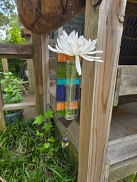 Image 1 of Extra large propagation station and flower vase 