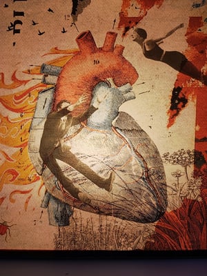 Image of Asalto al corazón.