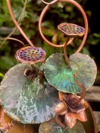 Image 2 of Lotus Water Bloom