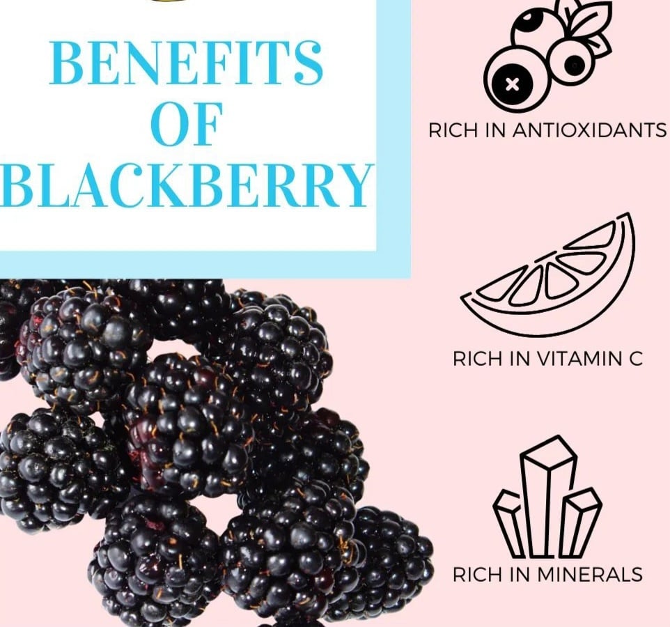 Freeze-Dried Brazilian Blackberry Powder. Blood Pressure-Muscle-Cholesterol-DNA-Brain