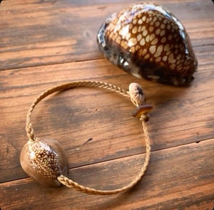Image of Snake’s head cowrie bracelet on hand braided sinew, your size