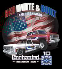 Image 2 of  USA Enchanted C10s