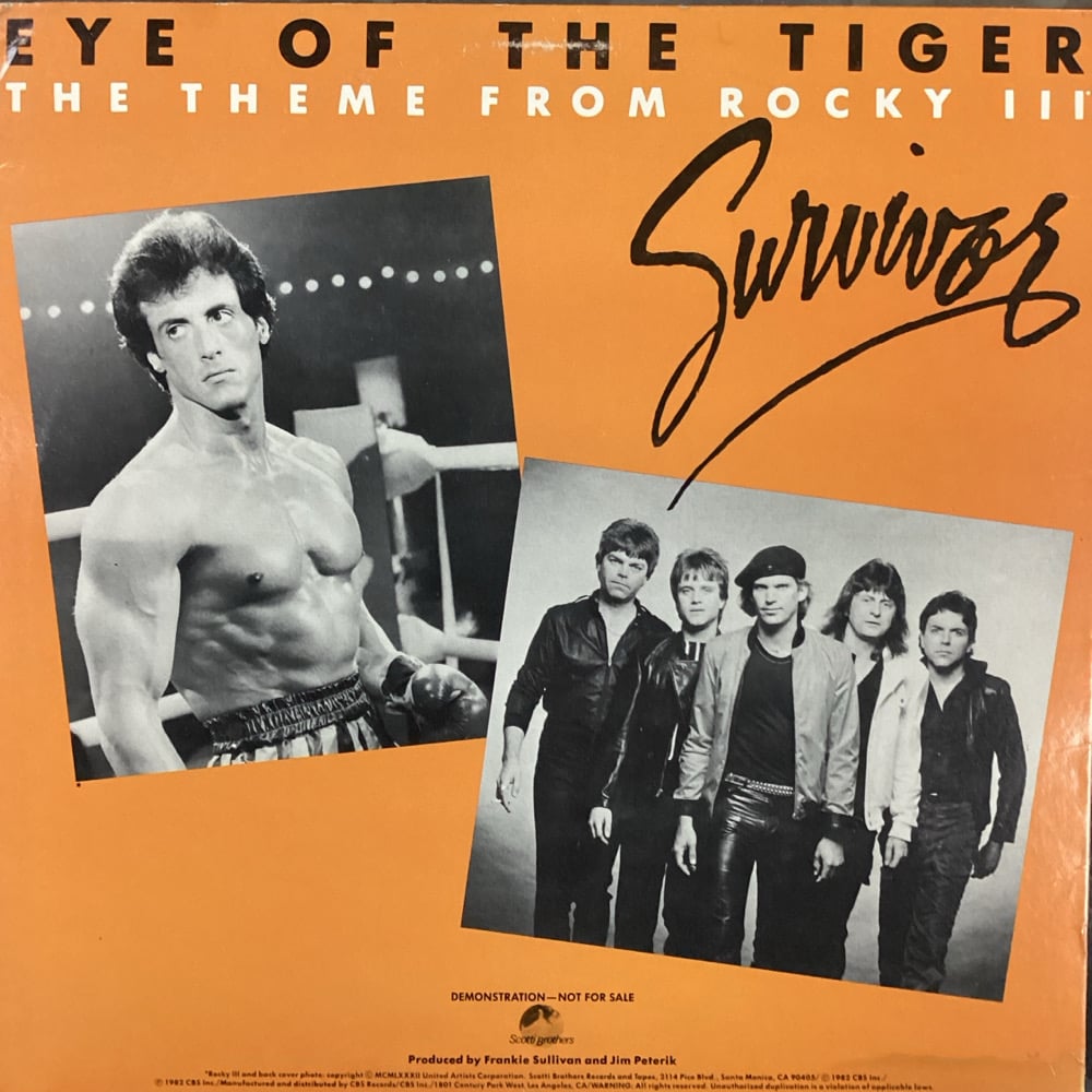 Survivor - Eye Of The Tiger 