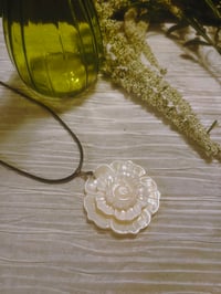 Image 1 of Rosa