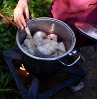 Image 4 of Weaving ourselves Wild 