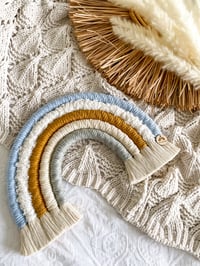 Image 2 of Peter Rabbit Standard Rainbow 