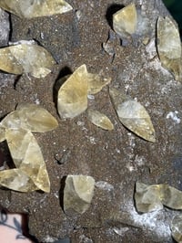 Image 8 of XXL SWEETWATER CALCITE WITH PYRITE -MISSOURI- PORCUPINE POCKET 2025 A