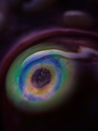 Image 15 of Teratoma, Glow bright eye, Swappable Phone Grip/Socket for smartphones