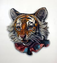 Image 2 of Wunder Cub