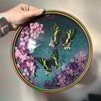 Sunset Moth Antique Frame