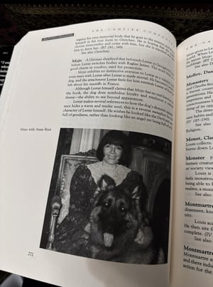 Image of The Vampire Companion 1993