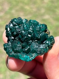 Image 10 of Dioptase Specimen #2539