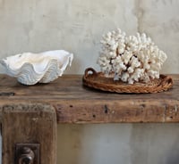Les coquillages (sur place uniquement) 
